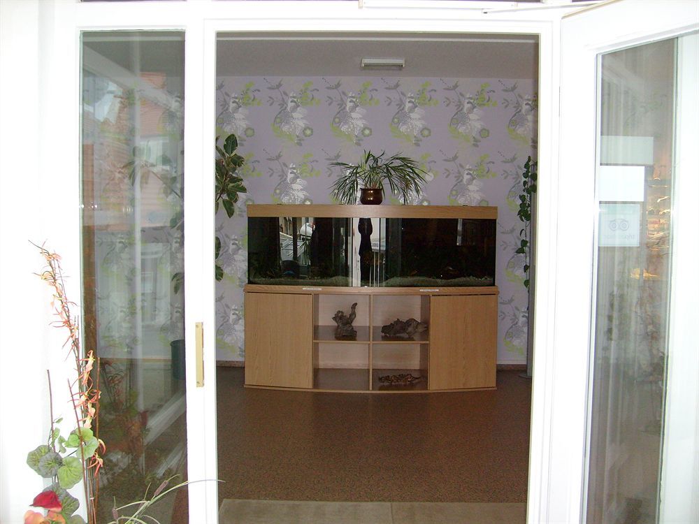 Villa Auszeit Hotel Garni Heringsdorf  Exterior foto